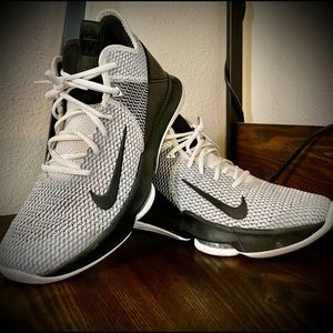Nike Lebron Witness 4